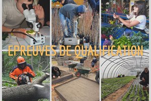 Epreuves de qualification
