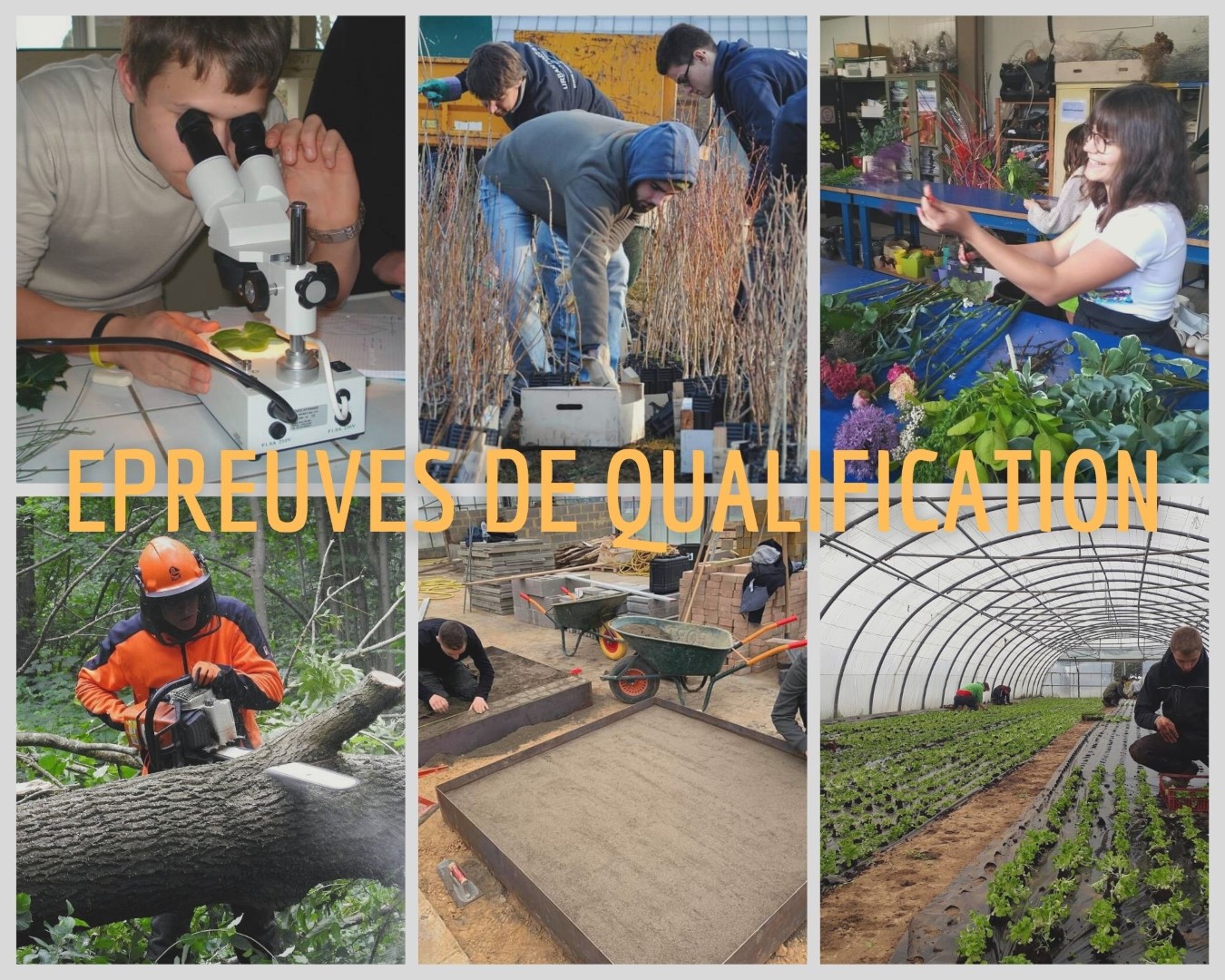 Epreuves de qualifications