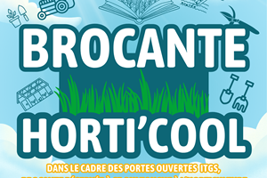 Brocante Horti'Cool
